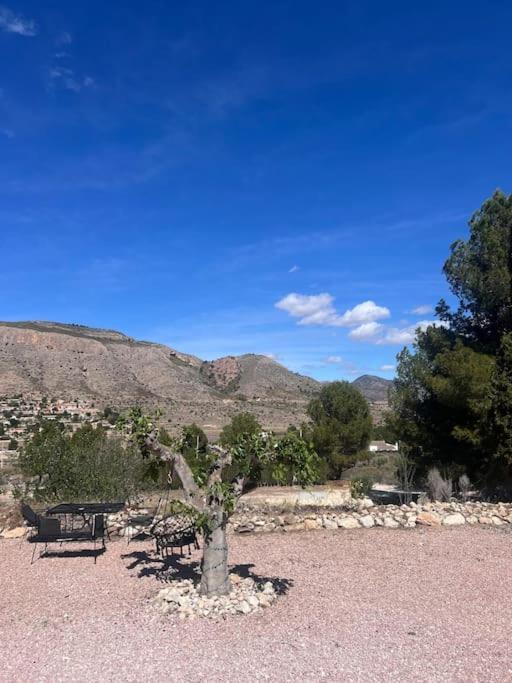 Ferienwohnung Casa Dusena Estrella Hondón de las Nieves Exterior foto